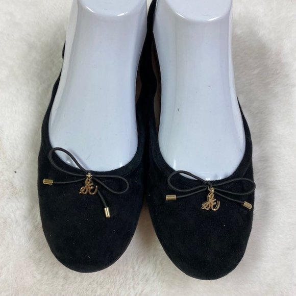 Sam Edelman Felecia‎ Suede Ballet Flat, size 8W - Picture 1 of 11